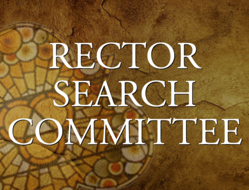 Rector Search Committee News – Jan. 28